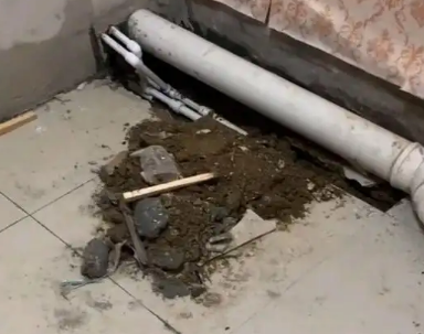 贡山卫生间漏水检测哪家好